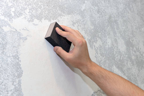 Best Mold Odor Removal Services  in Westville, IN