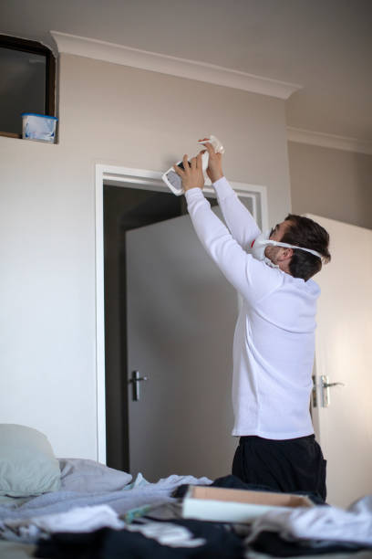Best Emergency Mold Remediation  in Westville, IN