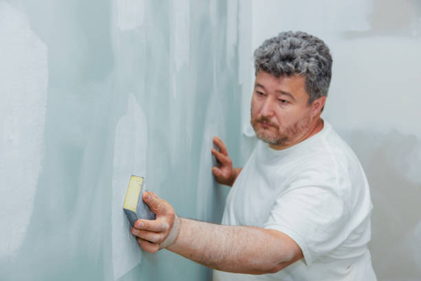 Best Post-Construction Mold Inspection  in Westville, IN