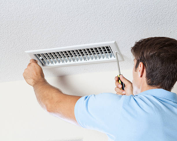 Best Real Estate Mold Inspection  in Westville, IN