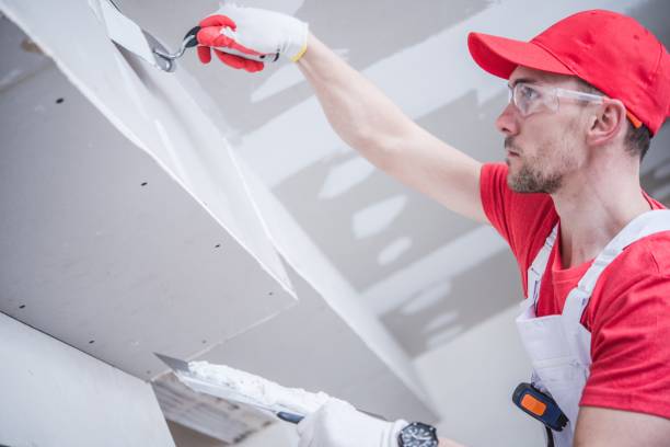 Best Mold Remediation for Healthcare Facilities  in Westville, IN