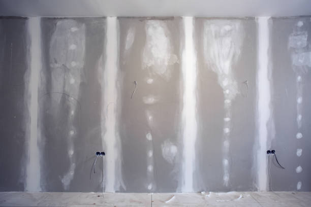 Best Mold Remediation for Healthcare Facilities  in Westville, IN